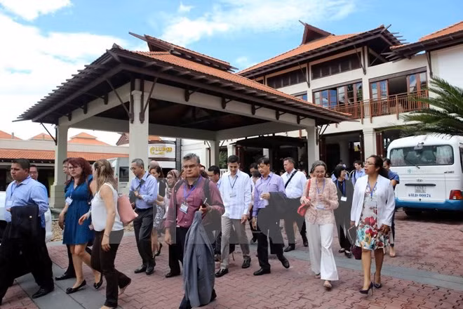 越南岘港市抓紧时间完成APEC领导人非正式会议各方面准备工作 ảnh 1