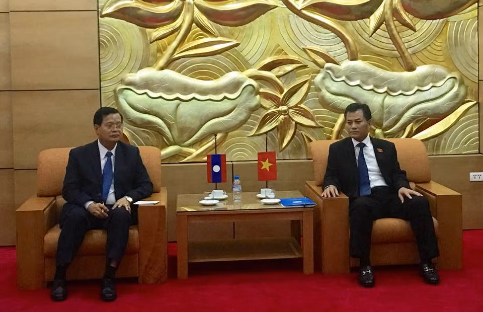 越南友好组织联合会领导会见老挝和平与团结委员会主席 ảnh 1