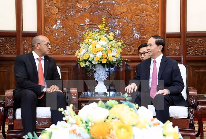 越南国家主席陈大光:不断巩固越古特殊模范关系 ảnh 1 越南国家主席陈大光:不断巩固越古特殊模范关系 ảnh 1