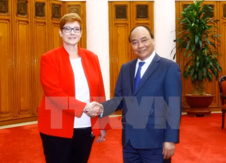 越南政府总理阮春福会见澳大利亚国防部长 ảnh 1