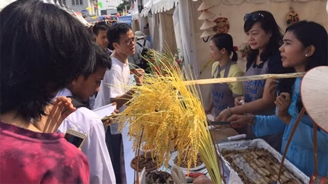 2017年东盟美食节在印尼盛大开幕 ảnh 1