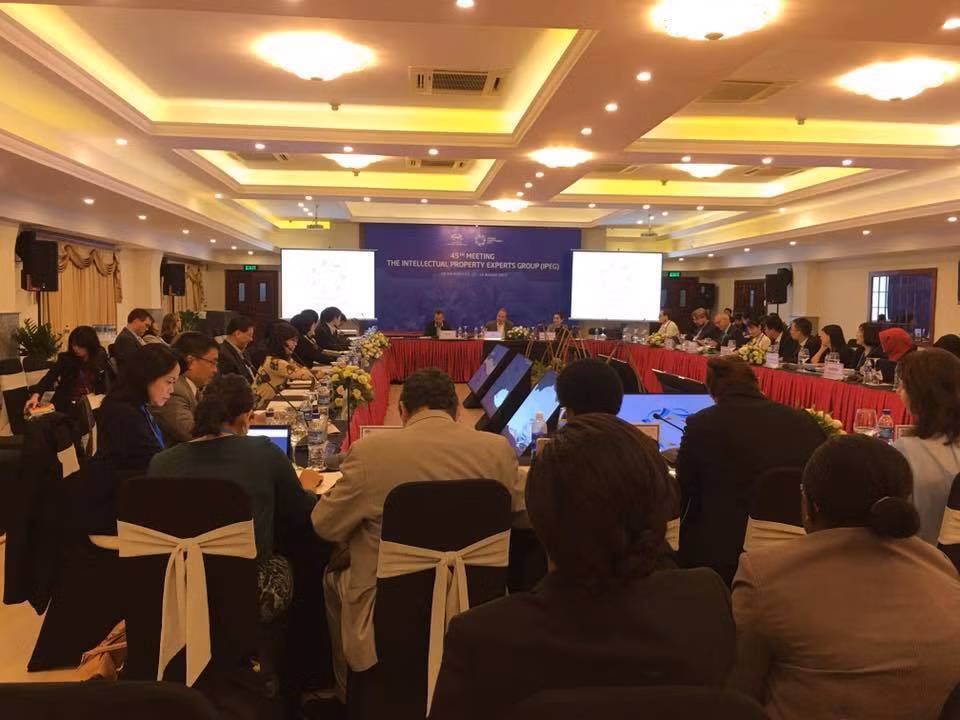 APEC知识产权专家组会议：越南提出关于健全电子申报系统和实施海牙体系两大倡议 ảnh 1