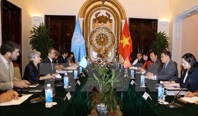  越南UNESCO国家委员会主任同UNESCO总干事进行会谈 ảnh 1