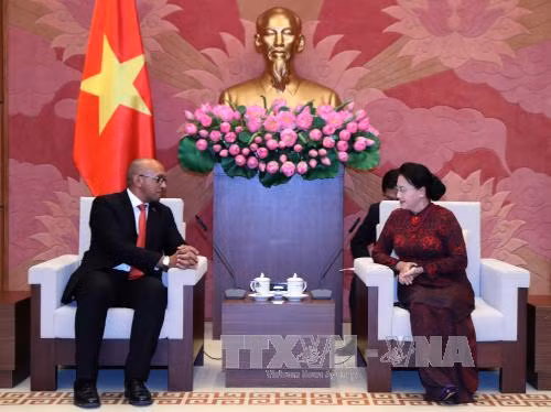 越南国会主席阮氏金银会见古巴驻越大使和莫桑比克总检察长 ảnh 1