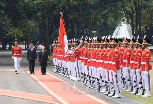 越通社简讯2017.8.23 ảnh 1