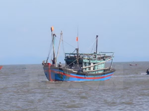 越南强烈反对对渔民使用武力或以武力威胁渔民的行为 ảnh 1