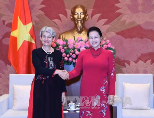国会主席阮氏金银会见联合国教科文组织总干事伊琳娜•博科娃 ảnh 1