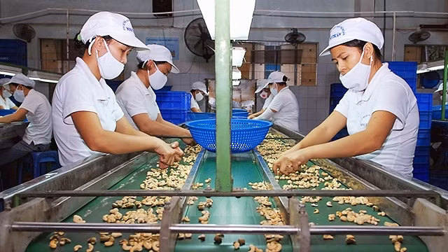 东盟发展的关键因素 ảnh 1