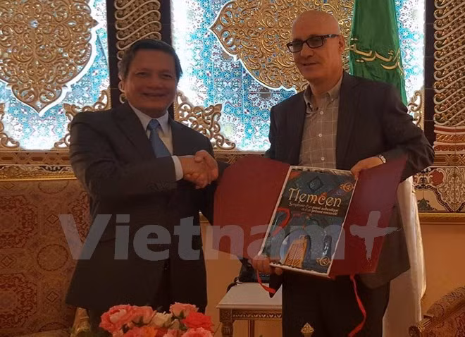 越南与阿尔及利亚加强经贸合作关系 ảnh 1