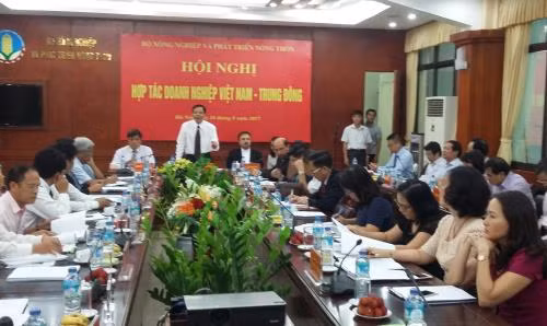 越南进一步加大对中东地区农产品出口力度 ảnh 1