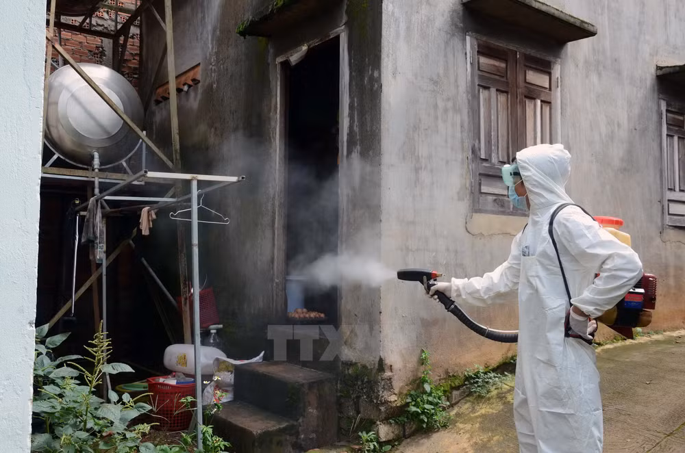 首都河内和胡胡志明市宣示打击登革热决心 ảnh 1