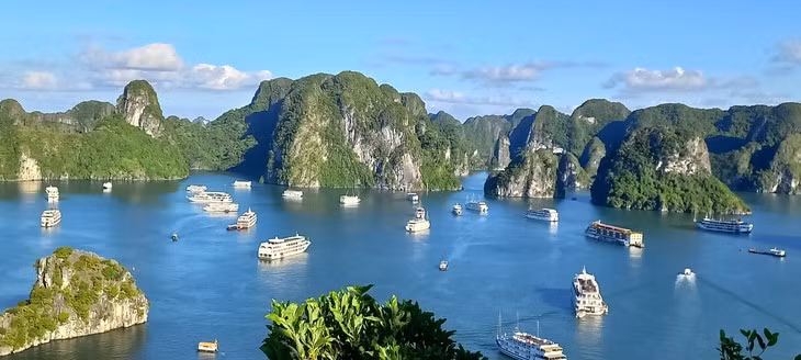下龙湾-吉婆群岛世界自然遗产：提升遗产价值 ảnh 1