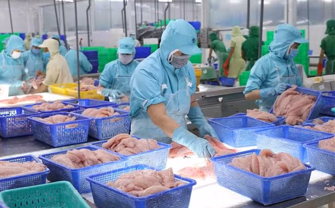 越南水产品出口提速 ảnh 1