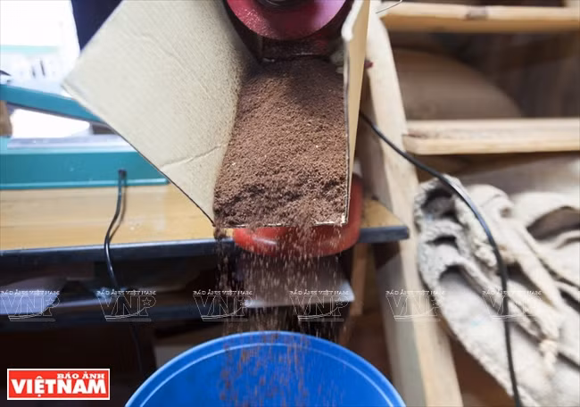 哥霍族人的清洁咖啡品牌“K’Ho Coffee” ảnh 9