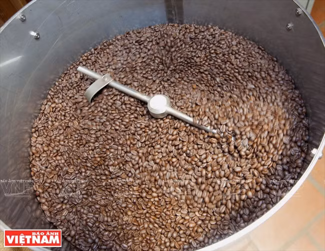 哥霍族人的清洁咖啡品牌“K’Ho Coffee” ảnh 6