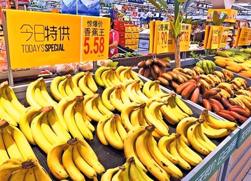 越南香蕉获准输华 ảnh 1