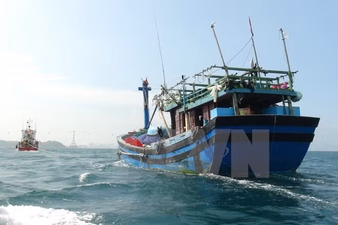 越南驻中国大使馆对在北部湾湾口外海域遇险的越南公民开展领事保护工作 ảnh 1