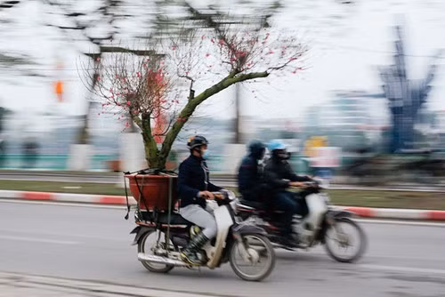 河内春节期间不能错过的四大集市 ảnh 1