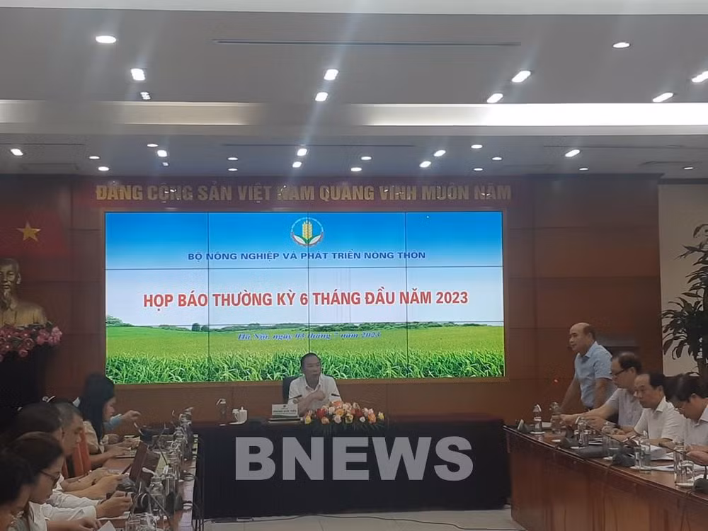 前六月经济形势:农业部门紧盯三大计划落实 ảnh 1 前六月经济形势:农业部门紧盯三大计划落实 ảnh 1