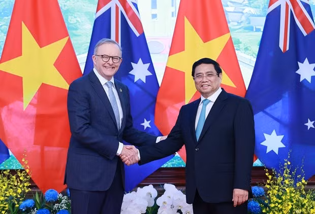 “竹式外交”特色:越南与国际社会密切联系的烙印 ảnh 2 “竹式外交”特色:越南与国际社会密切联系的烙印 ảnh 2