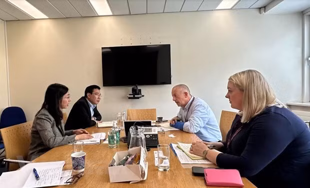 越南与爱尔兰促进教育科技合作 ảnh 1