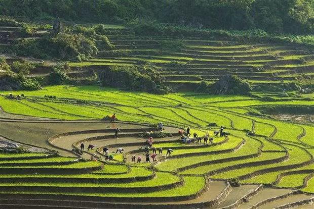 越南沙坝与中国弥勒市加强旅游合作 ảnh 1