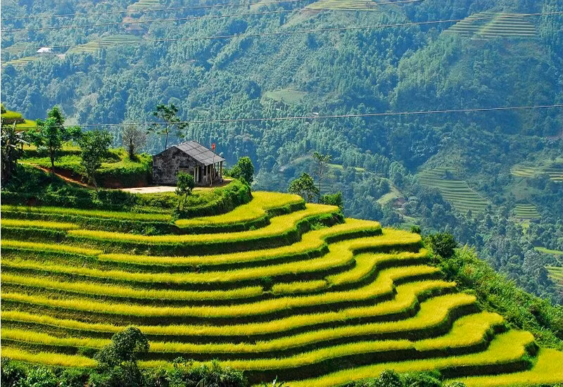 越南许多目的地获得国际媒体的称赞 ảnh 1