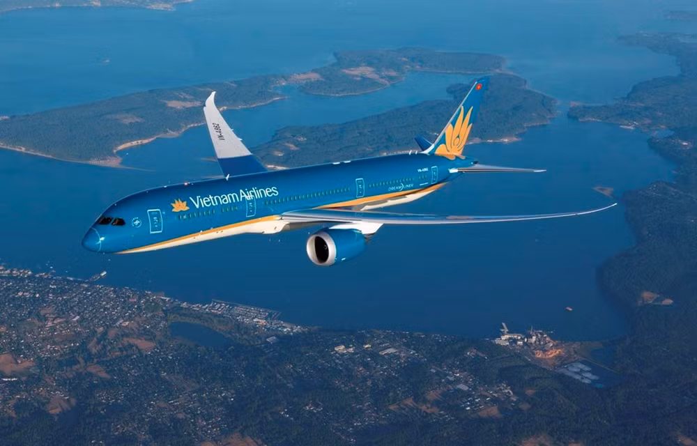 万米高空旅客突发不适 越航航班紧急备降迪拜机场 ảnh 1