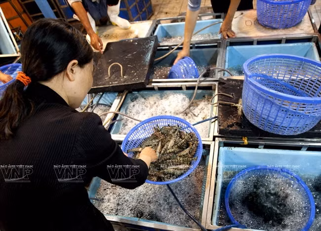 平田农产食品批发市场 ảnh 6