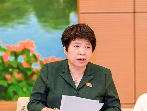 越南第十四届国会第十次会议:增加对艾滋病防治工作的国内资源 ảnh 2 越南第十四届国会第十次会议:增加对艾滋病防治工作的国内资源 ảnh 2
