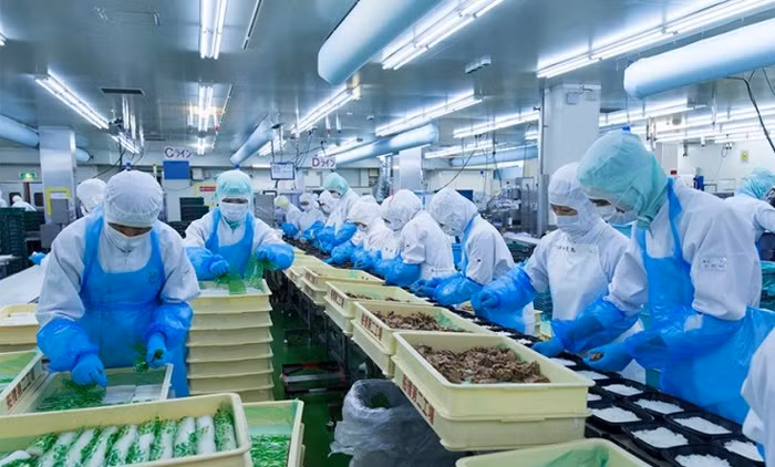 越南企业对第四季度生产与销售情况充满乐观 ảnh 1 越南企业对第四季度生产与销售情况充满乐观 ảnh 1