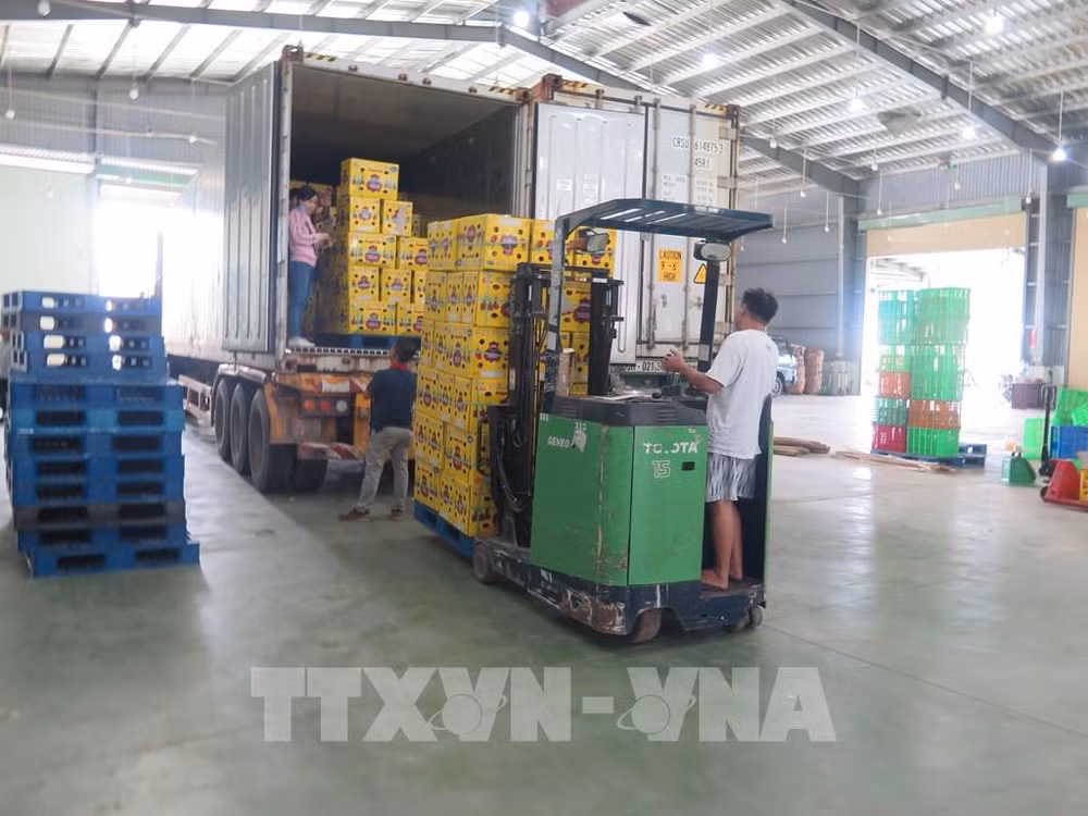 越南出口正逐步走近目标 ảnh 1