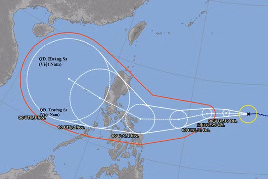 第10 号台风预计下周进入越南中部 ảnh 1