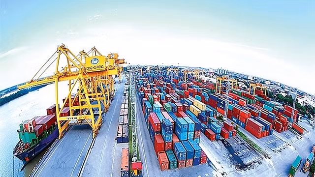 为今年年底的出口业务注入动力 ảnh 1