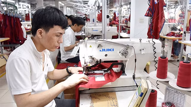 确保越南制品在美洲市场上站得稳 ảnh 1