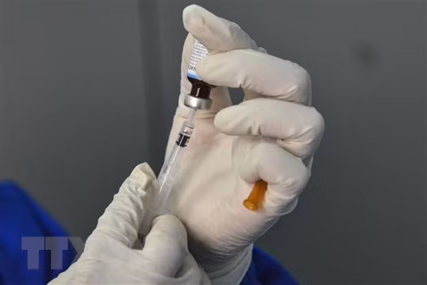 菲律宾政府要所有菲律宾人接种新冠疫苗 印尼呼吁“平等获得”新冠疫苗 ảnh 1
