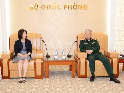 日本将协助越南解决战争后果 ảnh 1