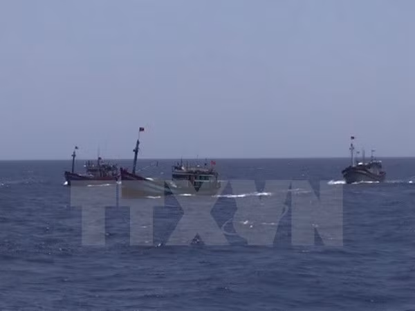 越南农业与农村发展部：中国对归属越南海域发布休渔制度是无效的 ảnh 1