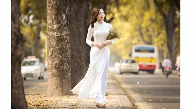 越南京族妇女的传统服装 ảnh 1