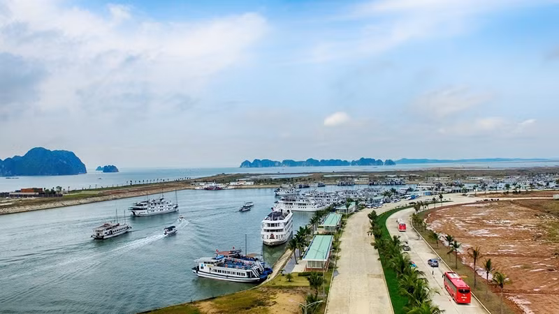 越南广宁省下龙市：令人刮目相看的下龙 ảnh 1