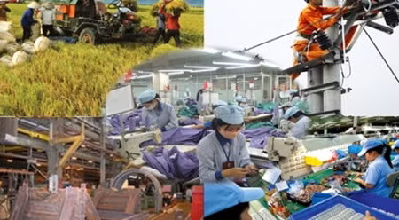 入世10年后越南取得可观成就 ảnh 1