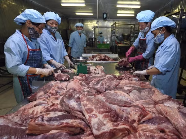 越南与丹麦分享食品安全管理经验 ảnh 1