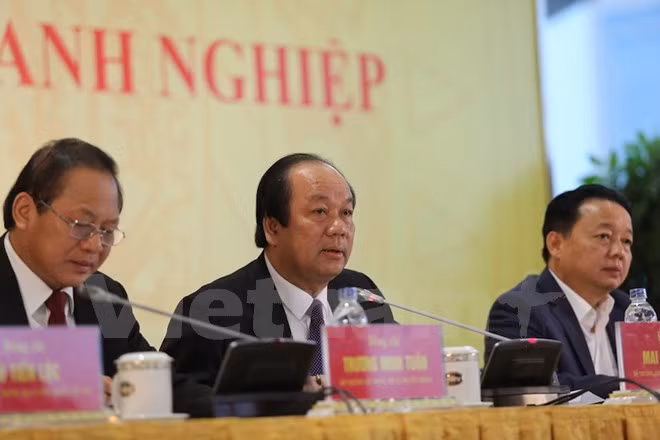 越南政府发言人梅进勇：为企业排忧解难是政府的重要责任 ảnh 1