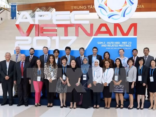 2017年APEC会议：APEC软件开发挑战赛即将开赛 ảnh 1