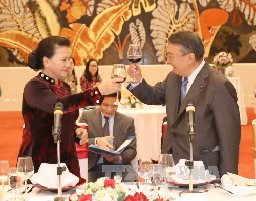 国会主席阮氏金银与日本国会众议院议长大岛理森举行会谈 ảnh 4