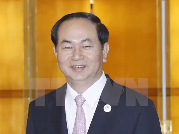 国家主席陈大光与各国领导进行双边会晤 ảnh 1