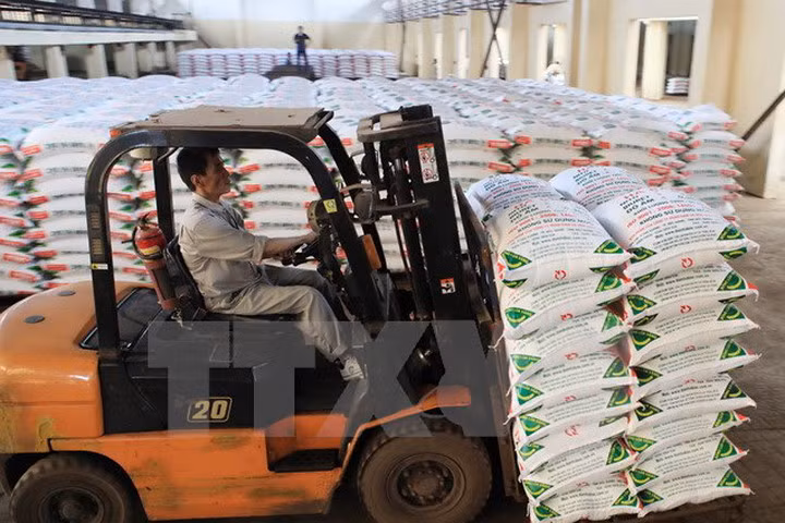 越南化肥进口量攀升 ảnh 1