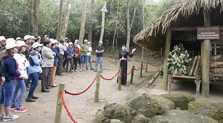 宣光省着力推动旅游业发展 ảnh 1