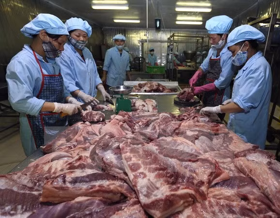 中国尚未同意进口越南猪肉 ảnh 1