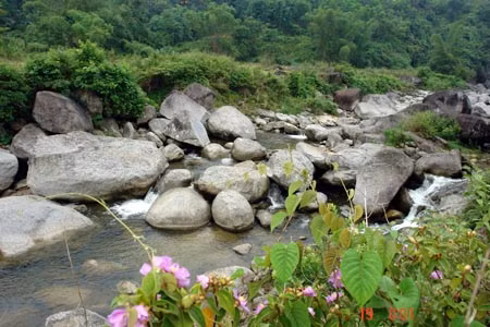 河江省宁静的踏村 ảnh 3